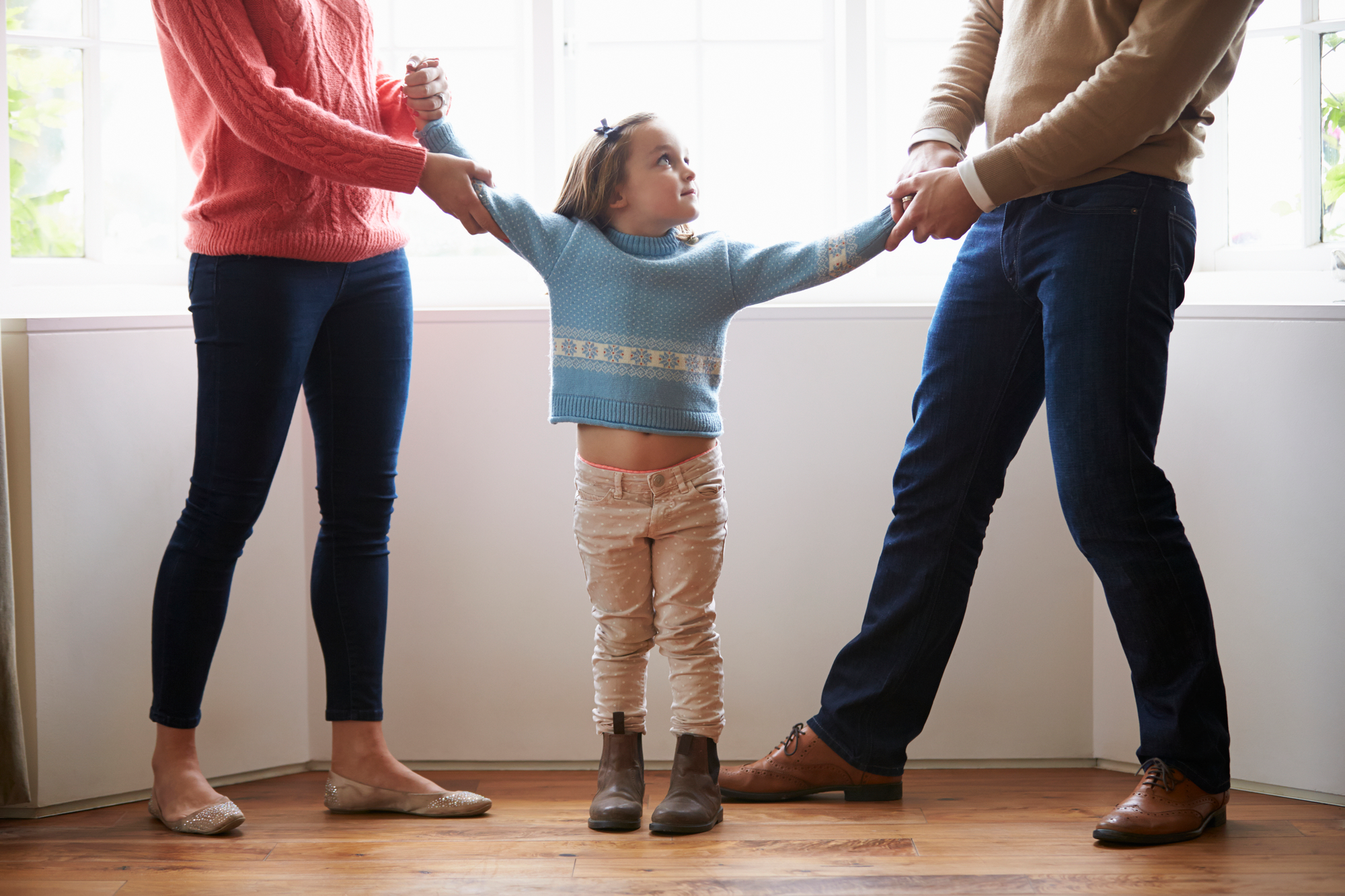 Child Custody Cases