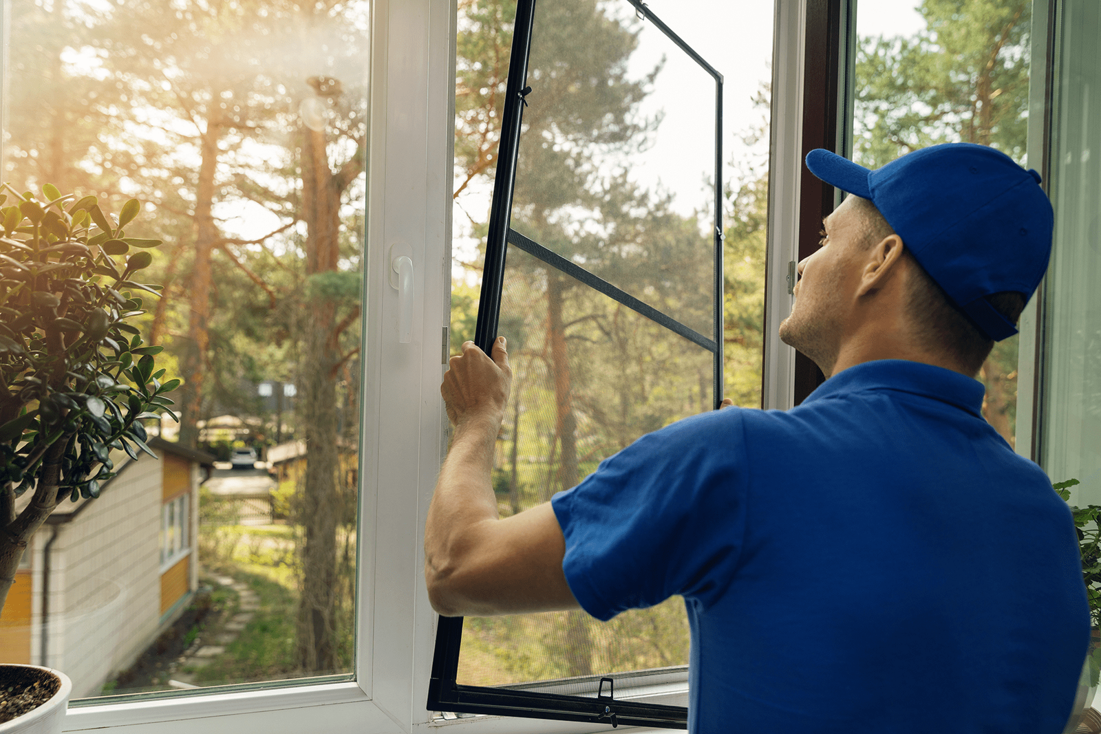 Window Screen Repair