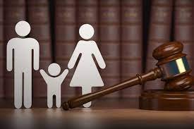 Family Court Proceedings