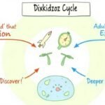 Dixkidzoz
