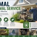Animal Removal Service